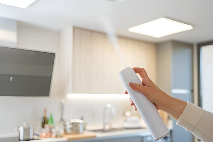 Whole-Home HEPA Air Cleaner Toronto